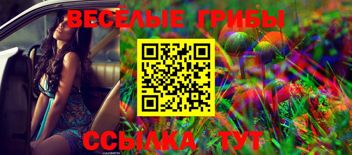 Гашиш  Амфетамин кристаллы  Камышин  Цена  Меф МЯУ МЯУ кристаллы  Канабис  A-PVP СК   Вход с VPN 