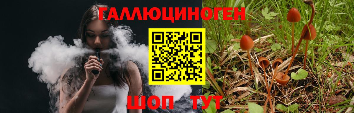 Камышин  Псилоцибиновые грибы мухоморы  Вход с VPN 
